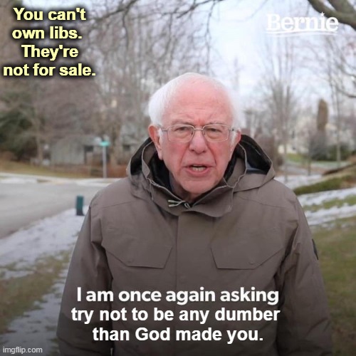 Conservatives' capacity for self-delusion is infinite. | You can't own libs. 
They're not for sale. try not to be any dumber 
than God made you. | image tagged in memes,bernie i am once again asking for your support,conservative,delusional | made w/ Imgflip meme maker