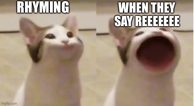 RHYMING WHEN THEY SAY REEEEEEE | image tagged in pop cat meme template | made w/ Imgflip meme maker