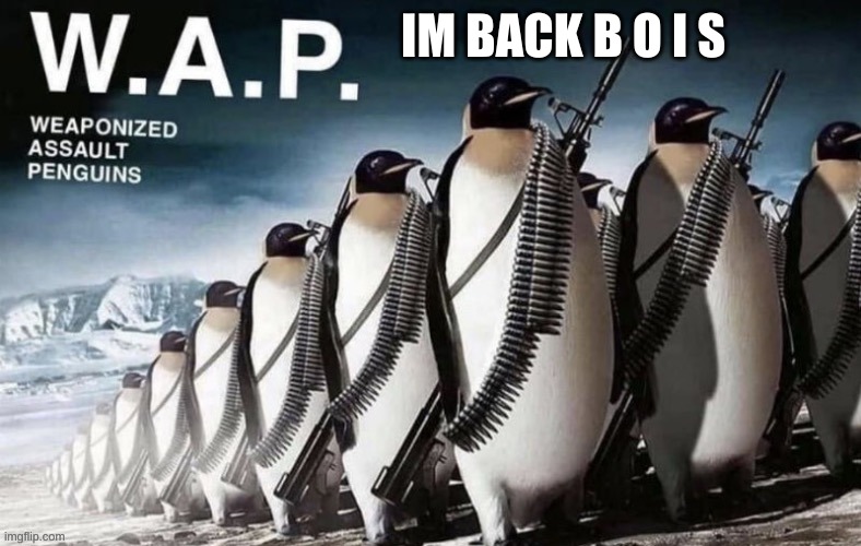 HAIII | IM BACK B O I S | image tagged in wap | made w/ Imgflip meme maker