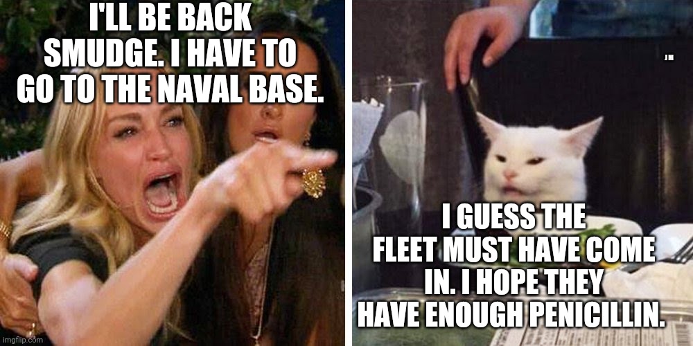 Smudge the cat | I'LL BE BACK SMUDGE. I HAVE TO GO TO THE NAVAL BASE. J M; I GUESS THE FLEET MUST HAVE COME IN. I HOPE THEY HAVE ENOUGH PENICILLIN. | image tagged in smudge the cat | made w/ Imgflip meme maker