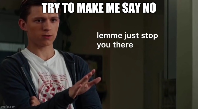 Lemme just stop you there | TRY TO MAKE ME SAY NO | image tagged in lemme just stop you there | made w/ Imgflip meme maker