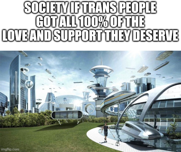 Society if trans people were respected | SOCIETY IF TRANS PEOPLE GOT ALL 100% OF THE LOVE AND SUPPORT THEY DESERVE | image tagged in society if | made w/ Imgflip meme maker