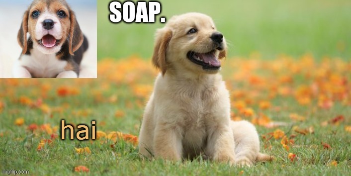 im bored | hai | image tagged in soap doggo template | made w/ Imgflip meme maker