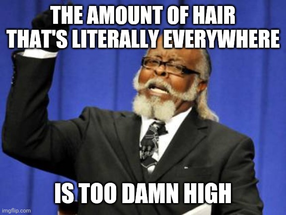 Too Damn High Meme | THE AMOUNT OF HAIR THAT'S LITERALLY EVERYWHERE; IS TOO DAMN HIGH | image tagged in memes,too damn high,AdviceAnimals | made w/ Imgflip meme maker