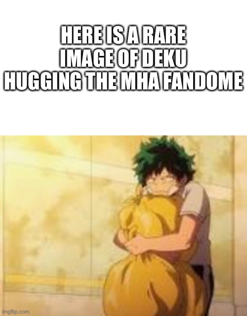 I’m in the fandome sooooooo | HERE IS A RARE IMAGE OF DEKU HUGGING THE MHA FANDOME | image tagged in anime,my hero academia,funny memes | made w/ Imgflip meme maker