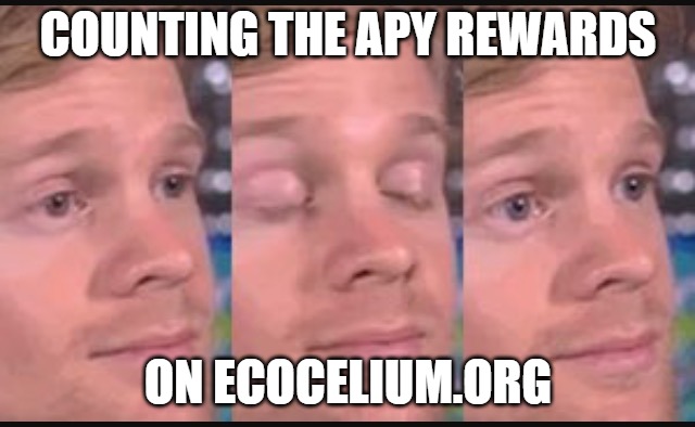 Ecocelium | COUNTING THE APY REWARDS; ON ECOCELIUM.ORG | image tagged in blinking guy,defi,ecocelium | made w/ Imgflip meme maker