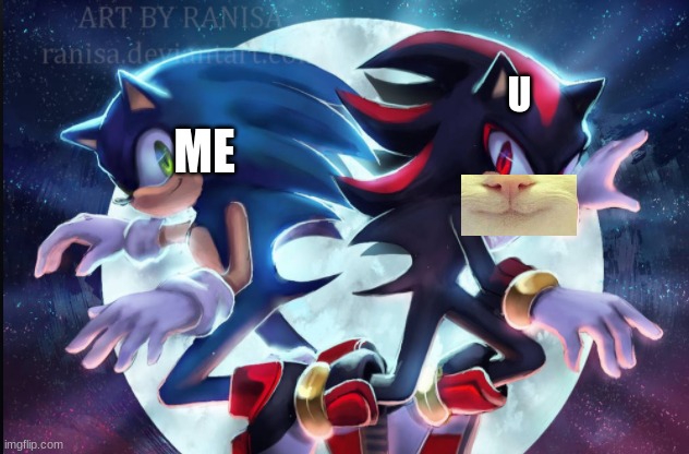 Sonic the Hedgehog and Shadow the Hedgehog | U ME | image tagged in sonic the hedgehog and shadow the hedgehog | made w/ Imgflip meme maker