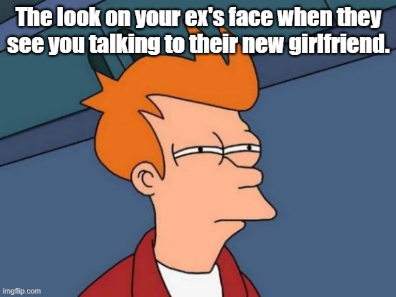 That look | The look on your ex's face when they see you talking to their new girlfriend. | image tagged in memes,futurama fry | made w/ Imgflip meme maker