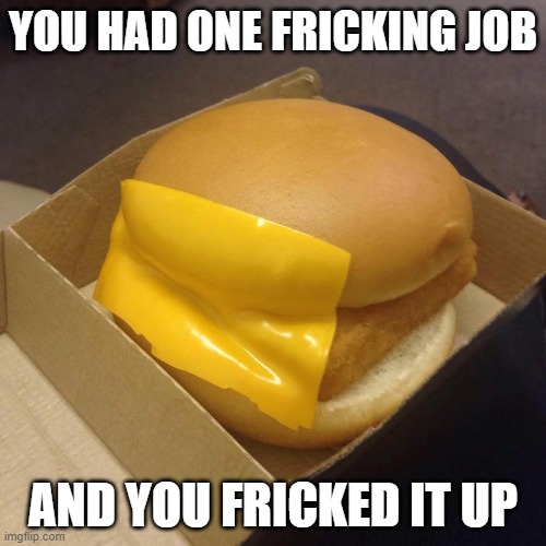 You had ONE job | YOU HAD ONE FRICKING JOB; AND YOU FRICKED IT UP | image tagged in you had one job | made w/ Imgflip meme maker