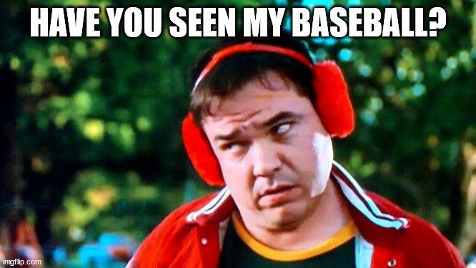 Have you seen my baseball? | HAVE YOU SEEN MY BASEBALL? | image tagged in have you seen my baseball | made w/ Imgflip meme maker