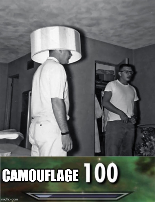 CAMOUFLAGE | image tagged in camoflage,level 100 | made w/ Imgflip meme maker