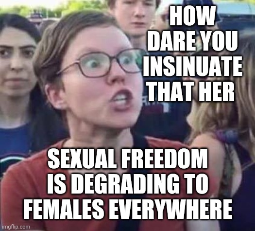 Angry Liberal | HOW DARE YOU INSINUATE THAT HER SEXUAL FREEDOM IS DEGRADING TO FEMALES EVERYWHERE | image tagged in angry liberal | made w/ Imgflip meme maker