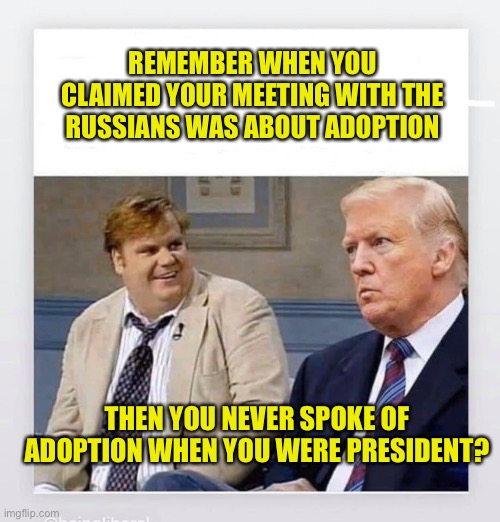 That was great wasn’t it | REMEMBER WHEN YOU CLAIMED YOUR MEETING WITH THE RUSSIANS WAS ABOUT ADOPTION; THEN YOU NEVER SPOKE OF ADOPTION WHEN YOU WERE PRESIDENT? | image tagged in candy trump | made w/ Imgflip meme maker