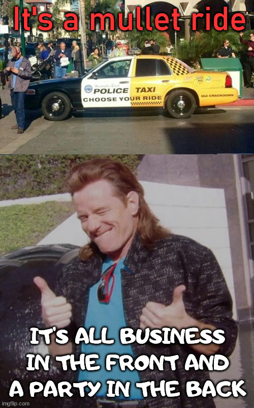 Mullet ride |  It's a mullet ride; IT'S ALL BUSINESS IN THE FRONT AND A PARTY IN THE BACK | image tagged in mulletcranston,mullet,police,taxi | made w/ Imgflip meme maker