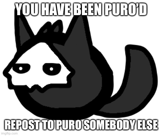 Puro is best boy- | YOU HAVE BEEN PURO’D; REPOST TO PURO SOMEBODY ELSE | image tagged in okcool | made w/ Imgflip meme maker