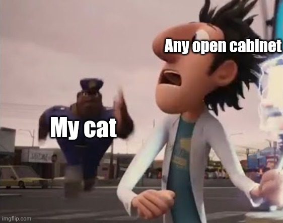 *Literally runs* | Any open cabinet; My cat | image tagged in officer earl running,cats,cloudy with a chance of meatballs | made w/ Imgflip meme maker