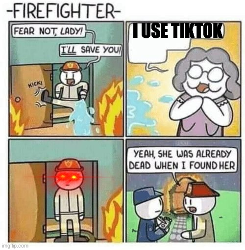 tiktok sucks | I USE TIKTOK | image tagged in fear not lady i'll save you | made w/ Imgflip meme maker