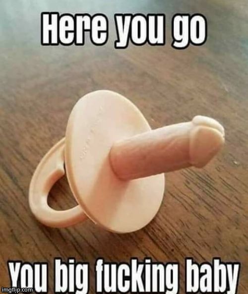 Liberal pacifier | image tagged in liberal pacifier | made w/ Imgflip meme maker