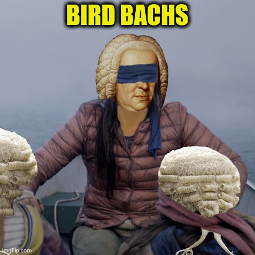 BIRD BACHS | made w/ Imgflip meme maker