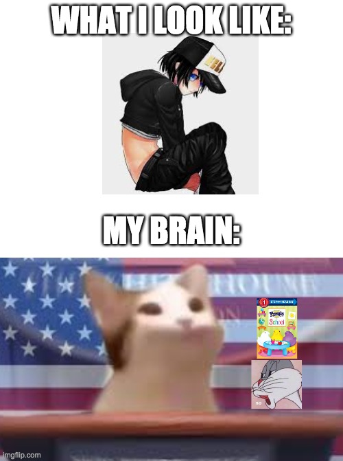 pop cat and peeps at school | WHAT I LOOK LIKE:; MY BRAIN: | image tagged in blank white template,pop tarts,meme,the most interesting man in the world | made w/ Imgflip meme maker