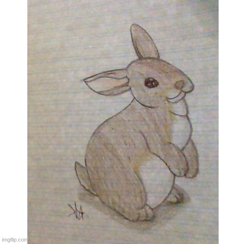 Drew a rabbit in my backyard!! <3 | image tagged in drawings | made w/ Imgflip meme maker