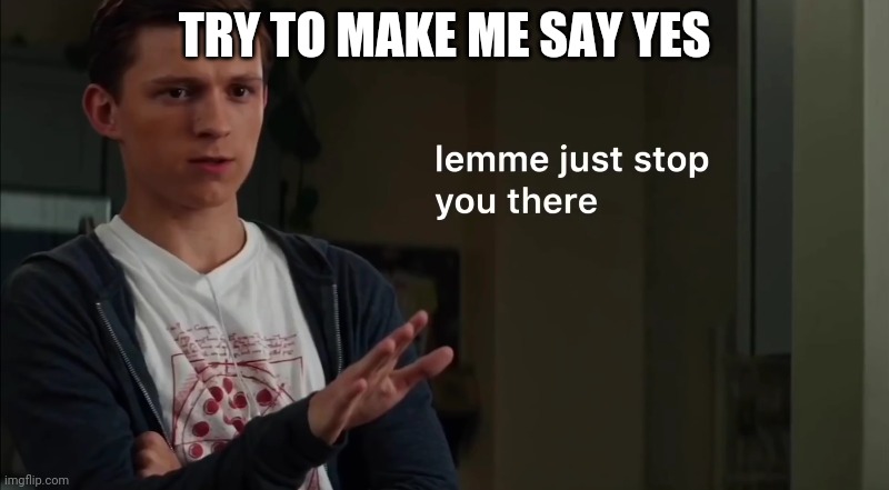 Lemme just stop you there | TRY TO MAKE ME SAY YES | image tagged in lemme just stop you there | made w/ Imgflip meme maker