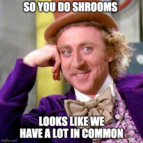 Willy Wonka Blank | SO YOU DO SHROOMS; LOOKS LIKE WE HAVE A LOT IN COMMON | image tagged in willy wonka blank | made w/ Imgflip meme maker