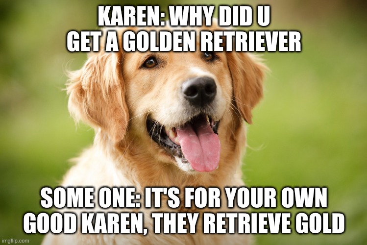 Dogos | KAREN: WHY DID U GET A GOLDEN RETRIEVER; SOME ONE: IT'S FOR YOUR OWN GOOD KAREN, THEY RETRIEVE GOLD | image tagged in funny | made w/ Imgflip meme maker
