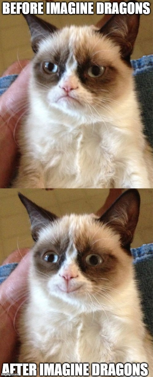BEFORE IMAGINE DRAGONS; AFTER IMAGINE DRAGONS | image tagged in memes,grumpy cat,grumpy cat happy | made w/ Imgflip meme maker