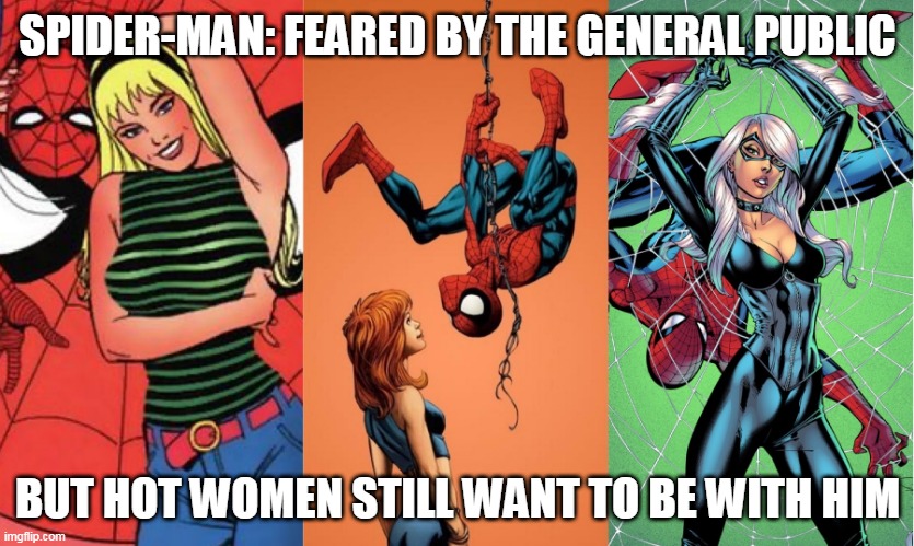 SPIDER-MAN: FEARED BY THE GENERAL PUBLIC; BUT HOT WOMEN STILL WANT TO BE WITH HIM | image tagged in spiderman | made w/ Imgflip meme maker