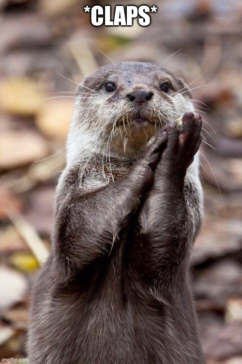 Slow-Clap Otter | *CLAPS* | image tagged in slow-clap otter | made w/ Imgflip meme maker