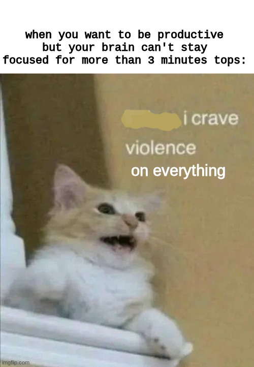 including my self | when you want to be productive but your brain can't stay focused for more than 3 minutes tops:; on everything | image tagged in cats,memes,funny,funny memes | made w/ Imgflip meme maker