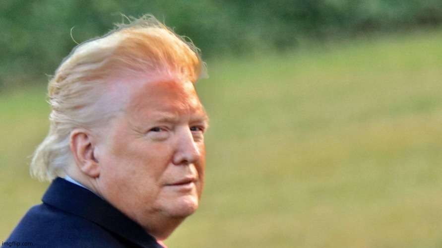 Trump orange face | image tagged in trump orange face | made w/ Imgflip meme maker