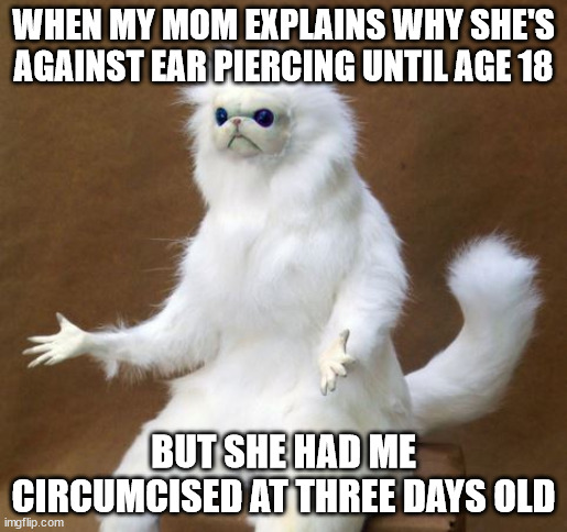 Persian white monkey | WHEN MY MOM EXPLAINS WHY SHE'S AGAINST EAR PIERCING UNTIL AGE 18; BUT SHE HAD ME CIRCUMCISED AT THREE DAYS OLD | image tagged in persian white monkey,AdviceAnimals | made w/ Imgflip meme maker