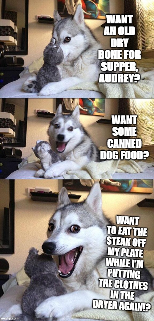 Bad Pun Dog Meme | WANT AN OLD DRY BONE FOR SUPPER, AUDREY? WANT SOME CANNED DOG FOOD? WANT TO EAT THE STEAK OFF MY PLATE WHILE I'M PUTTING THE CLOTHES IN THE DRYER AGAIN!? | image tagged in memes,bad pun dog | made w/ Imgflip meme maker