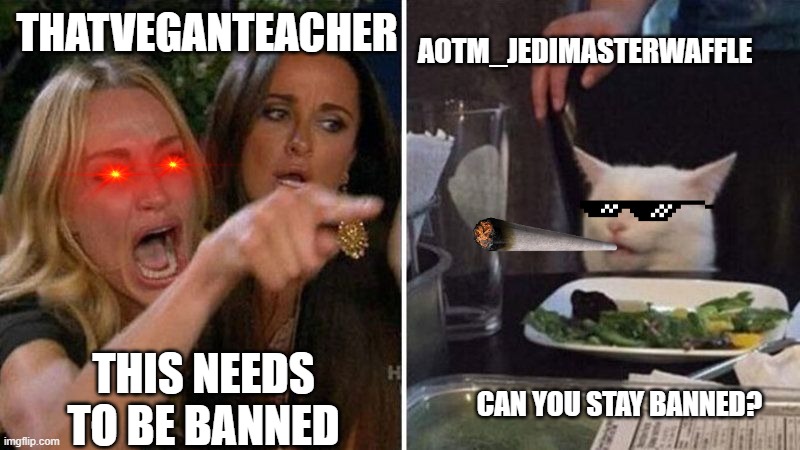 THATVEGANTEACHER THIS NEEDS TO BE BANNED AOTM_JEDIMASTERWAFFLE CAN YOU STAY BANNED? | image tagged in lady vs cat | made w/ Imgflip meme maker