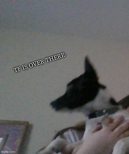 TF IS OVER THERE- | made w/ Imgflip meme maker