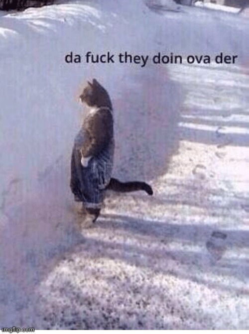 Da fuq they doing over there | image tagged in da fuq they doing over there | made w/ Imgflip meme maker