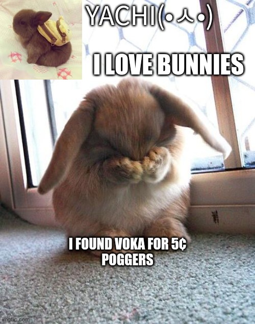 vodka* | I FOUND VOKA FOR 5¢
POGGERS | image tagged in yachi's bunny temp | made w/ Imgflip meme maker