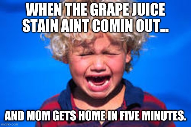 WHEN THE GRAPE JUICE STAIN AINT COMIN OUT... AND MOM GETS HOME IN FIVE MINUTES. | image tagged in funny | made w/ Imgflip meme maker