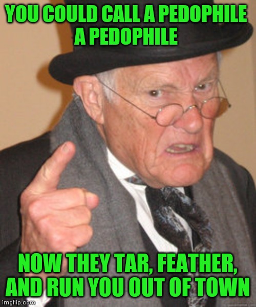 Back in my day | YOU COULD CALL A PEDOPHILE 
A PEDOPHILE; NOW THEY TAR, FEATHER, AND RUN YOU OUT OF TOWN | image tagged in memes,back in my day | made w/ Imgflip meme maker