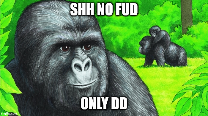 Rustled jimmies | SHH NO FUD; ONLY DD | image tagged in rustled jimmies,GME | made w/ Imgflip meme maker