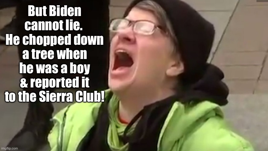 Screaming Liberal  | But Biden cannot lie.  He chopped down a tree when he was a boy & reported it to the Sierra Club! | image tagged in screaming liberal | made w/ Imgflip meme maker