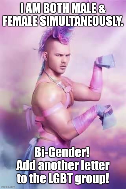 Gay Unicorn | I AM BOTH MALE & FEMALE SIMULTANEOUSLY. Bi-Gender!  Add another letter to the LGBT group! | image tagged in gay unicorn | made w/ Imgflip meme maker