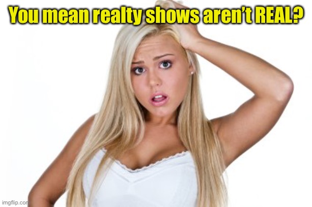 Dumb Blonde | You mean realty shows aren’t REAL? | image tagged in dumb blonde | made w/ Imgflip meme maker