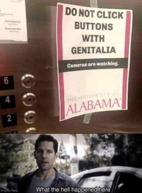 Labias and Genitalmen.... | image tagged in what the hell happened here,elevator,genitals,warning sign,funny memes | made w/ Imgflip meme maker