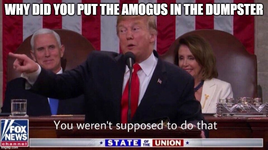 you werent supposed to do that | WHY DID YOU PUT THE AMOGUS IN THE DUMPSTER | image tagged in you werent supposed to do that | made w/ Imgflip meme maker
