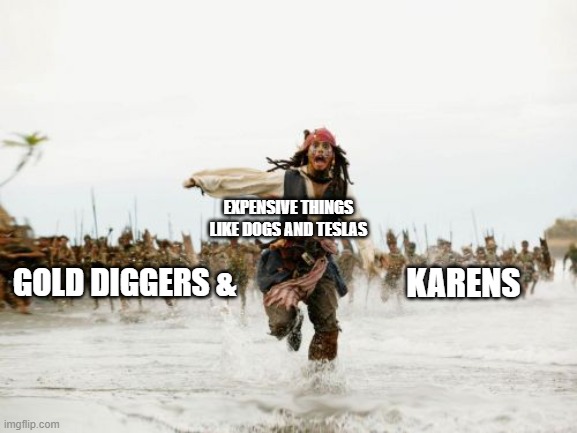 I have a very strong hate to annoying ppl like karens | EXPENSIVE THINGS LIKE DOGS AND TESLAS; GOLD DIGGERS &; KARENS | image tagged in memes,jack sparrow being chased | made w/ Imgflip meme maker