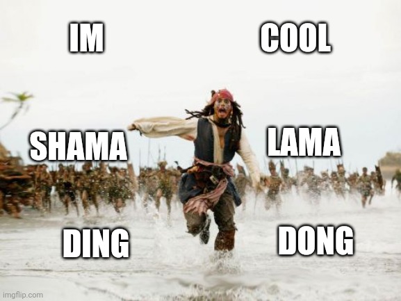 Jack Sparrow Being Chased | IM; COOL; LAMA; SHAMA; DONG; DING | image tagged in memes,jack sparrow being chased,haha,starfire,llama,xd | made w/ Imgflip meme maker