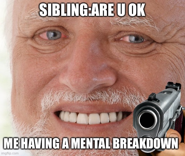 SIBLING:ARE U OK; ME HAVING A MENTAL BREAKDOWN | made w/ Imgflip meme maker